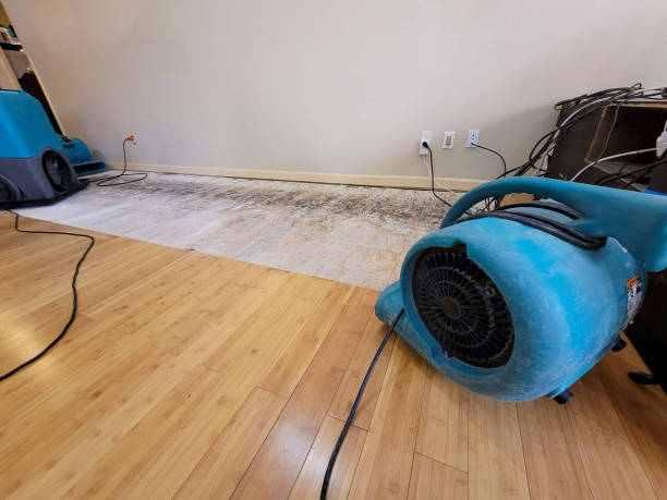 Professional Sewage Cleanup technician working in Mount Gretna, PA